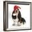 Basset Hound Puppy, Betty, 9 Weeks, Sitting, Wearing a Father Christmas Hat-Mark Taylor-Framed Photographic Print