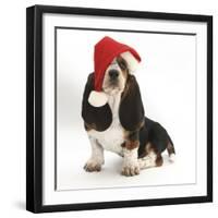 Basset Hound Puppy, Betty, 9 Weeks, Sitting, Wearing a Father Christmas Hat-Mark Taylor-Framed Photographic Print