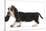 Basset Hound Puppy, Betty, 9 Weeks, Walking Across-Mark Taylor-Stretched Canvas