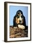 Basset Hound Puppy in Basket-null-Framed Photographic Print