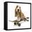 Basset Hound Puppy in Studio on Skateboard-null-Framed Stretched Canvas