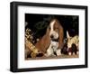 Basset Hound Puppy-Lynn M^ Stone-Framed Premium Photographic Print