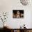 Basset Hound Puppy-Lynn M^ Stone-Photographic Print displayed on a wall