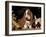 Basset Hound Puppy-Lynn M^ Stone-Framed Photographic Print