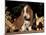 Basset Hound Puppy-Lynn M^ Stone-Mounted Photographic Print