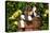Basset Hound Pups in Flowers, Burlington-Lynn M^ Stone-Stretched Canvas