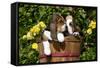 Basset Hound Pups in Flowers, Burlington-Lynn M^ Stone-Framed Stretched Canvas