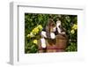 Basset Hound Pups in Flowers, Burlington-Lynn M^ Stone-Framed Photographic Print