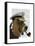Basset Hound Sea Dog-Fab Funky-Framed Stretched Canvas