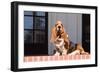 Basset Hound Sitting One Red Brick Patio-Zandria Muench Beraldo-Framed Photographic Print