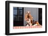 Basset Hound Sitting One Red Brick Patio-Zandria Muench Beraldo-Framed Photographic Print