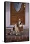 Basset Hound Waiting with Owner's Slippers-DLILLC-Framed Stretched Canvas