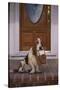 Basset Hound Waiting with Owner's Slippers-DLILLC-Stretched Canvas