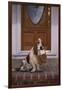 Basset Hound Waiting with Owner's Slippers-DLILLC-Framed Photographic Print
