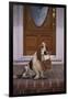 Basset Hound Waiting with Owner's Slippers-DLILLC-Framed Photographic Print