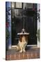 Basset Hound Waiting with the Mail-DLILLC-Stretched Canvas