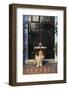 Basset Hound Waiting with the Mail-DLILLC-Framed Photographic Print