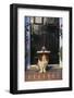 Basset Hound Waiting with the Mail-DLILLC-Framed Photographic Print