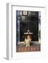 Basset Hound Waiting with the Mail-DLILLC-Framed Photographic Print