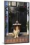 Basset Hound Waiting with the Mail-DLILLC-Mounted Photographic Print