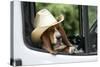 Basset Hound Wearing Hat in Van-null-Stretched Canvas