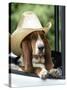 Basset Hound Wearing Hat in Van-null-Stretched Canvas