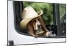 Basset Hound Wearing Hat in Van-null-Mounted Photographic Print