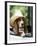 Basset Hound Wearing Hat in Van-null-Framed Photographic Print