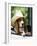 Basset Hound Wearing Hat in Van-null-Framed Photographic Print