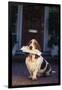 Basset Hound with Mail in Mouth on Front Porch-DLILLC-Framed Photographic Print