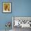 Basset Hound-John Golden-Framed Giclee Print displayed on a wall