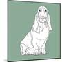 Basset Hound-Anna Nyberg-Mounted Art Print