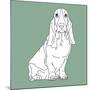 Basset Hound-Anna Nyberg-Mounted Giclee Print