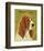 Basset Hound-John W^ Golden-Framed Art Print