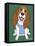 Basset Hound-Tomoyo Pitcher-Framed Stretched Canvas