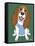 Basset Hound-Tomoyo Pitcher-Framed Stretched Canvas