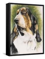 Basset Hound-Barbara Keith-Framed Stretched Canvas