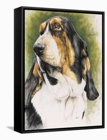 Basset Hound-Barbara Keith-Framed Stretched Canvas