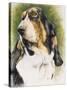 Basset Hound-Barbara Keith-Stretched Canvas