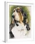 Basset Hound-Barbara Keith-Framed Giclee Print