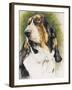 Basset Hound-Barbara Keith-Framed Giclee Print