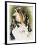 Basset Hound-Barbara Keith-Framed Giclee Print