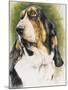 Basset Hound-Barbara Keith-Mounted Giclee Print