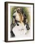 Basset Hound-Barbara Keith-Framed Giclee Print