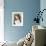 Basset Hound-Barbara Keith-Framed Giclee Print displayed on a wall