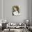 Basset Hound-Barbara Keith-Giclee Print displayed on a wall