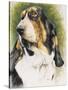 Basset Hound-Barbara Keith-Stretched Canvas