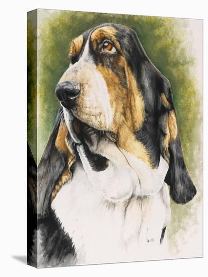 Basset Hound-Barbara Keith-Stretched Canvas