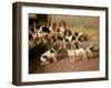 Basset Hounds in a Kennel, 1894-Valentine Thomas Garland-Framed Giclee Print