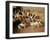 Basset Hounds in a Kennel, 1894-Valentine Thomas Garland-Framed Giclee Print